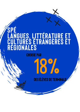 specialite langues litterature et cultures etrangeres et regionales